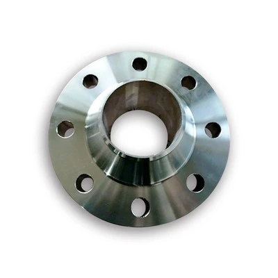 316L roestvrijstalen pijpfitting stomplasflens